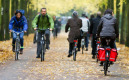 Radfahrer in Münster