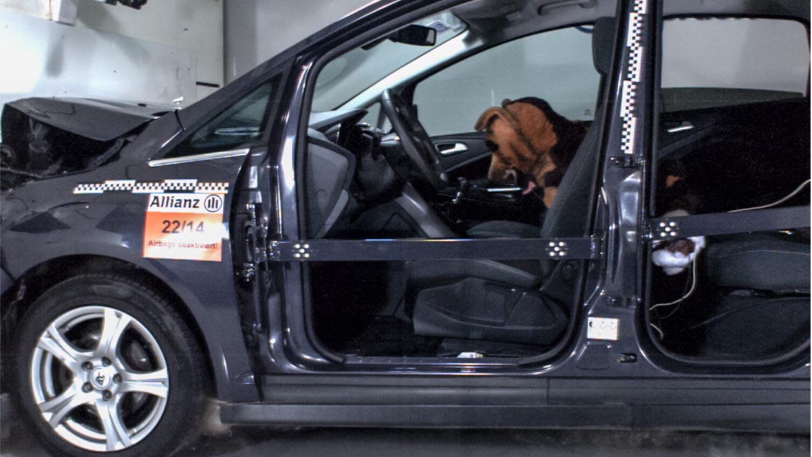 Allianz-Crashtest zur Hundesicherung