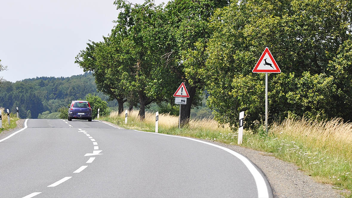 Landstraße Unfallgefahr Wildunfall