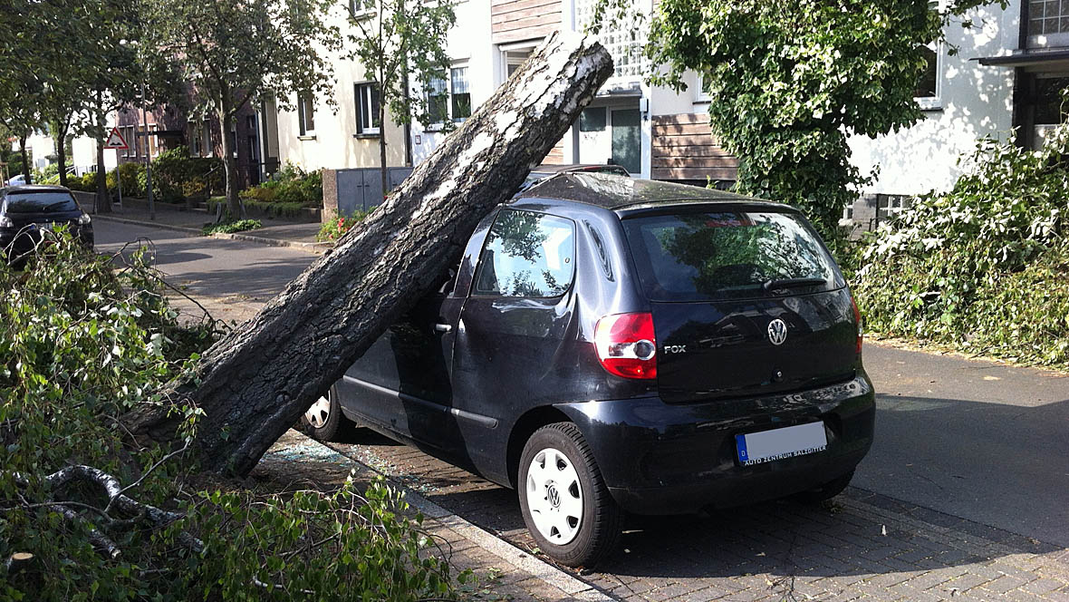 Sturmschaden Auto