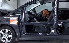 Allianz-Crashtest zur Hundesicherung